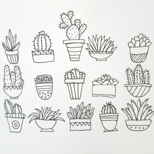 Цветок в горшке эскиз