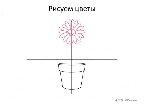 Поэтапное рисование комнатных растений