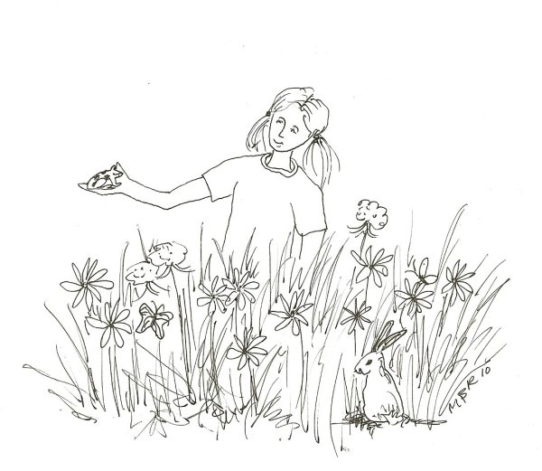 Золотой луг пришвин рисунок