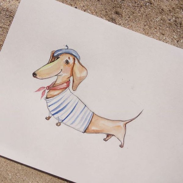 Такса в карандаше сбоку