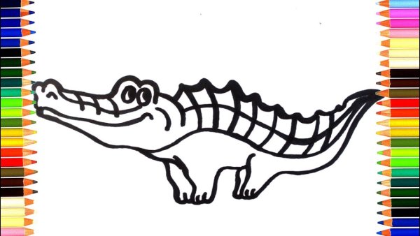Рисунки для срисовки крокодил