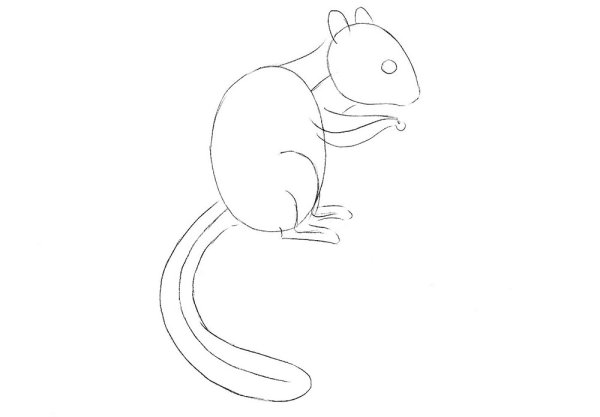 Нарисовать бурундука