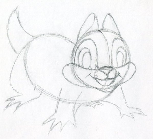 Садовая Соня для срисовки