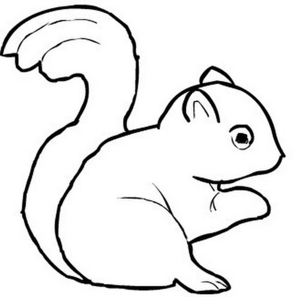 Нарисовать бурундука