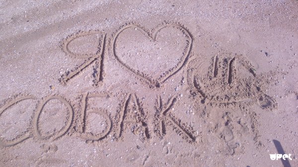 Надпись Юля на песке