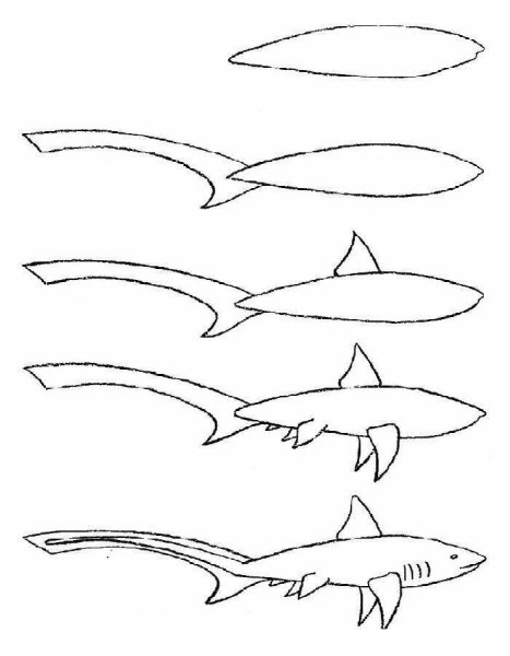 Рисунок акула 3 класс