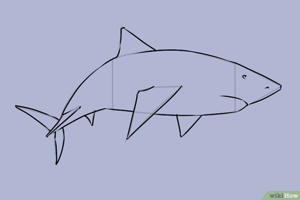 Акула с открытым ртом раскраска