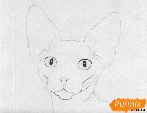 Сфинкс рисунок карандашом легкий