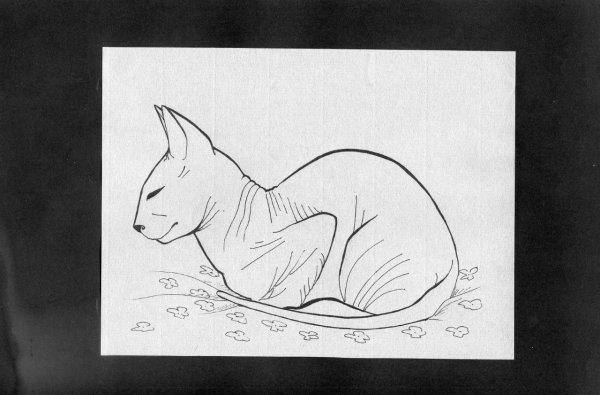 Сфинкс рисунок карандашом для срисовки