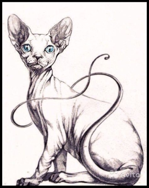 Сфинкс карандашом