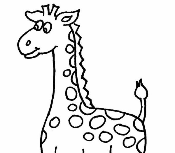 Жираф карандашом для срисовки