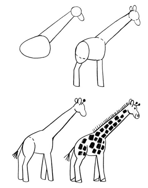 Как нарисовать жирафа карандашом поэтапно для детей