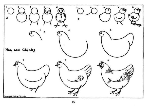 Поэтапный рисунок курицы