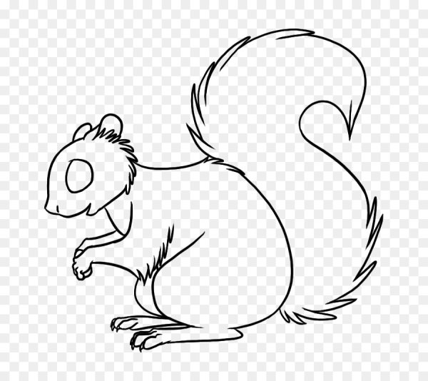 Белочка рисунок