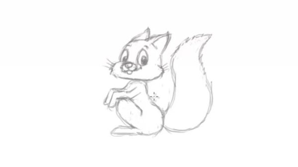 Белочка рисунок простым карандашом