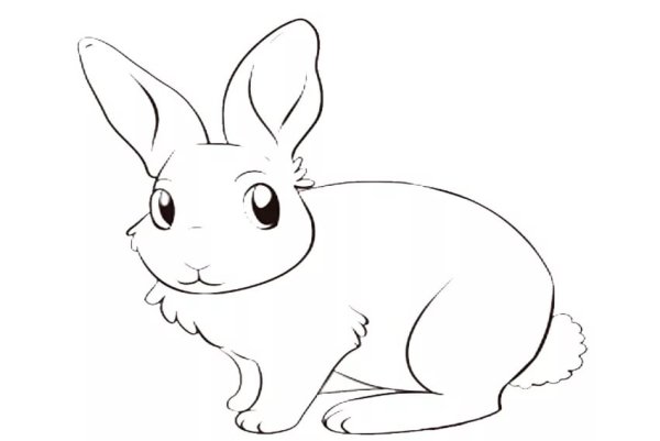 Заяц раскраска