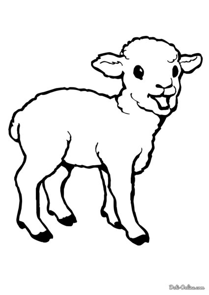 Ягненок раскраска
