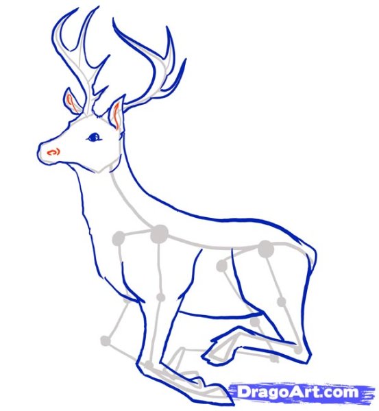 Олень рисунок карандашом поэтапно