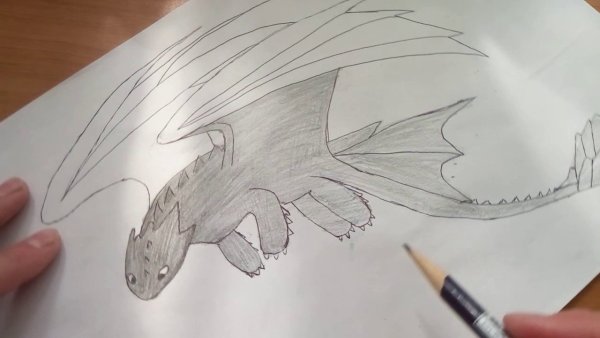 Поэтапное рисование Беззубика