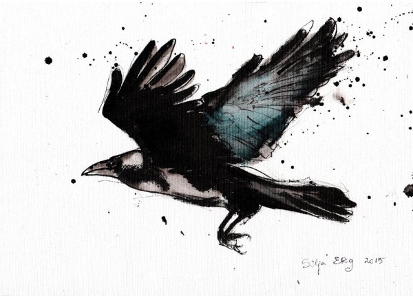 Ворон арт на прозрачном фоне