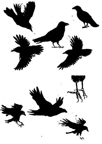 Тату силуэт птицы