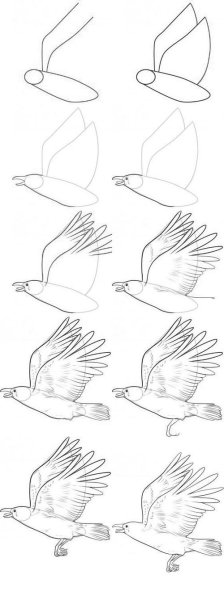 Поэтапное рисование вороны