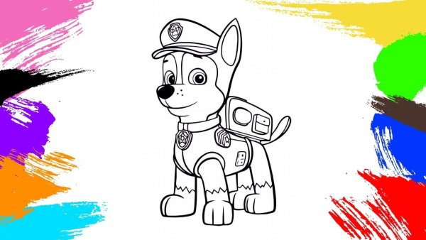 Гонщик Щенячий патруль раскраска