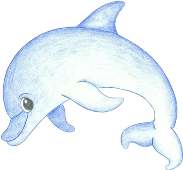 Дельфин рисунок для срисовки