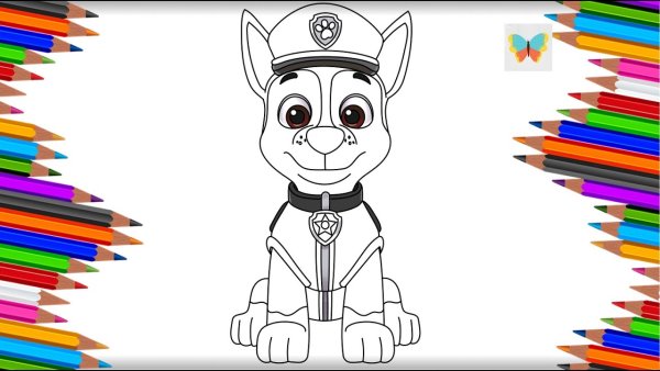 Рисуем гонщика Щенячий патруль