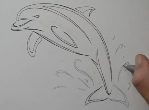 Дельфин трафарет для рисования