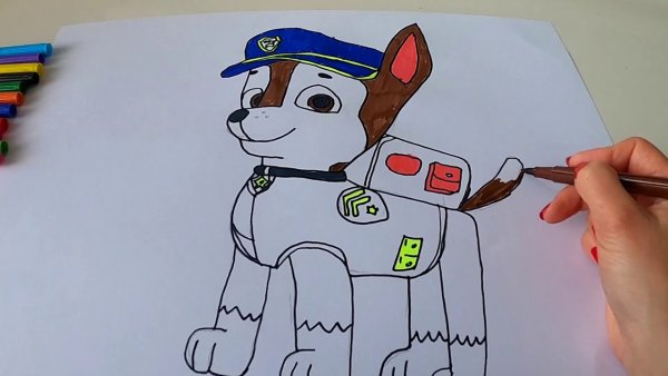 Щенячий патруль Единорожки