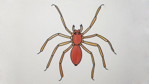 Паук рисунок цветной