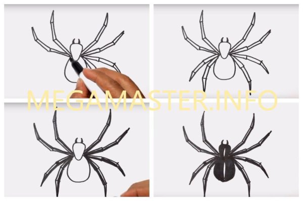 Пошаговое рисование паука