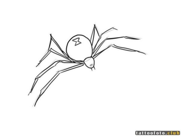 Паук карандашом