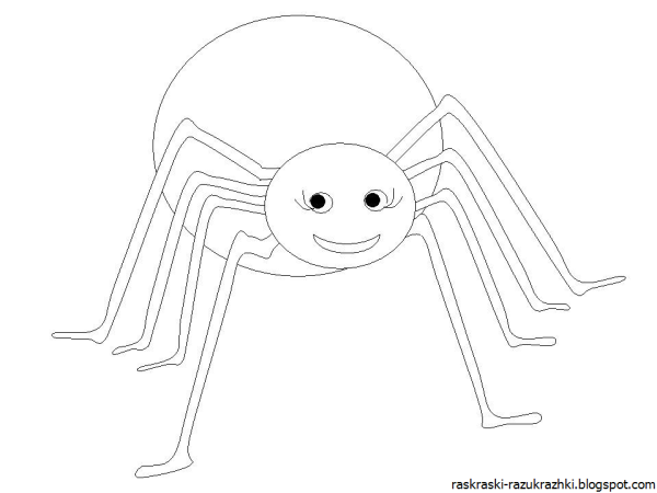 Паучок картинка для детей раскраска