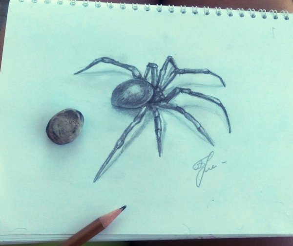 Как нарисовать паука
