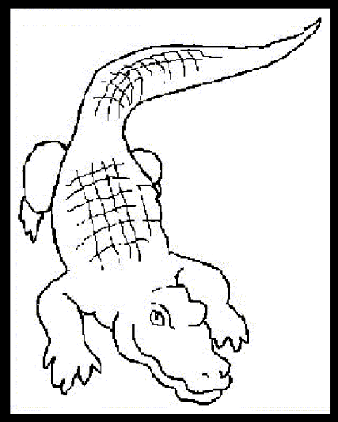 Крокодил шаблон