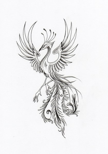 Птица Феникс для детей