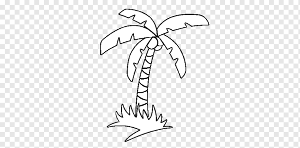 Пальма для срисовки легкие