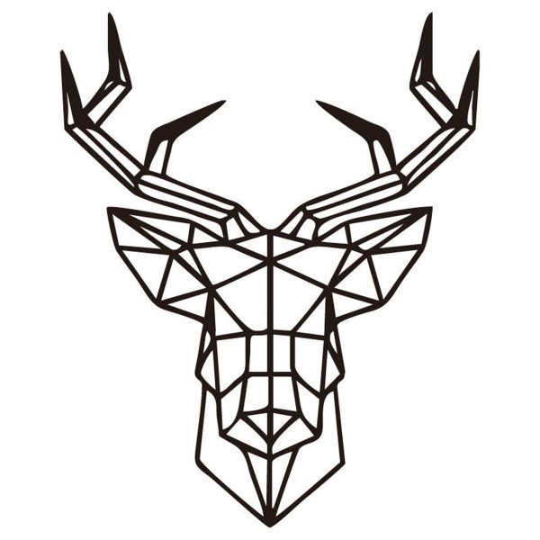 Геометрия эскиз