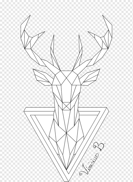 Геометрия эскиз