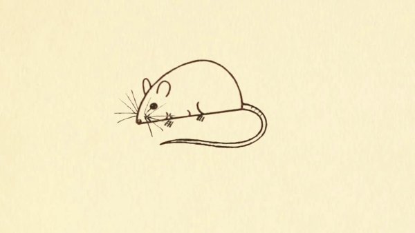 Лёгкие рисунки для срисовки крысы