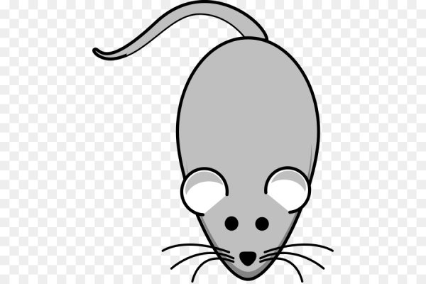 Рисунок мышки для срисовки