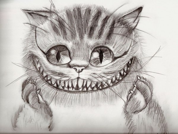 Чеширский кот для срисовки