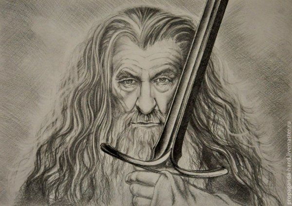 Властелин колец Гэндальф портрет