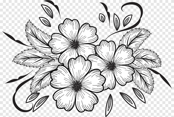 Цветы рисунок