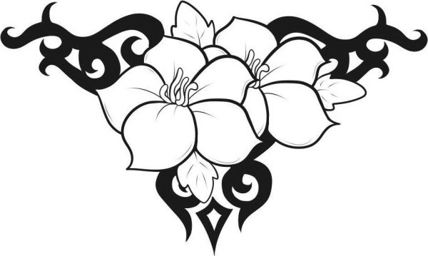 Цветы карандашом розы