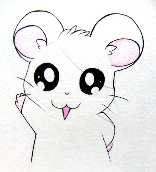 Рисунок легкий