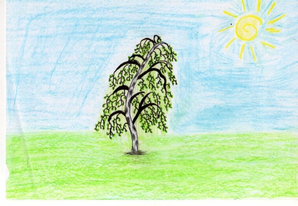 Березка простой рисунок