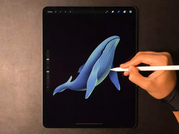 IPAD Pro 11 Procreate